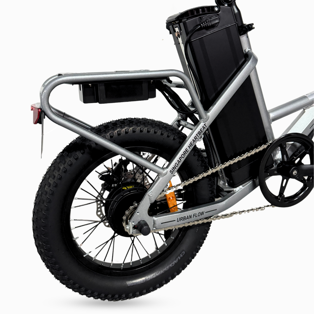EZYGO Urban Flow Electric Bicycle Ebike | 48V 19.2AH | LTA Approved and EN15194:2017 Certified PAB | LATEST EBIKE in 2025