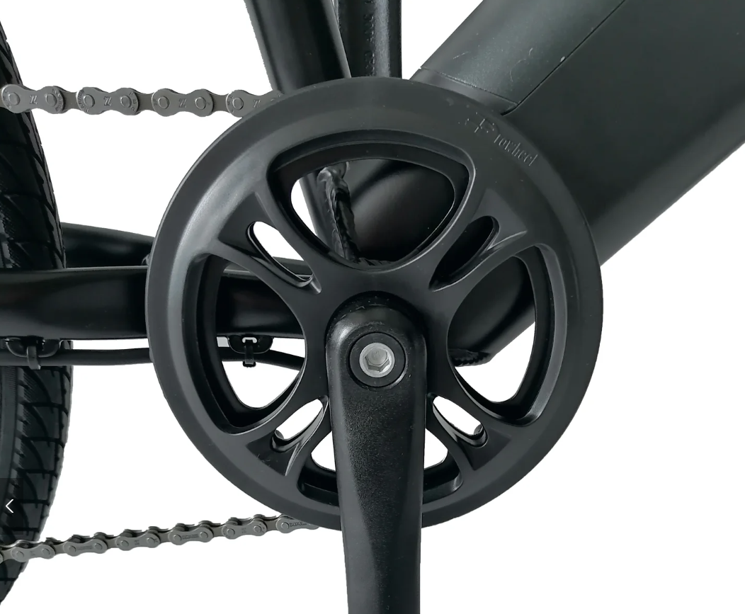 Zebra Ebike Model M