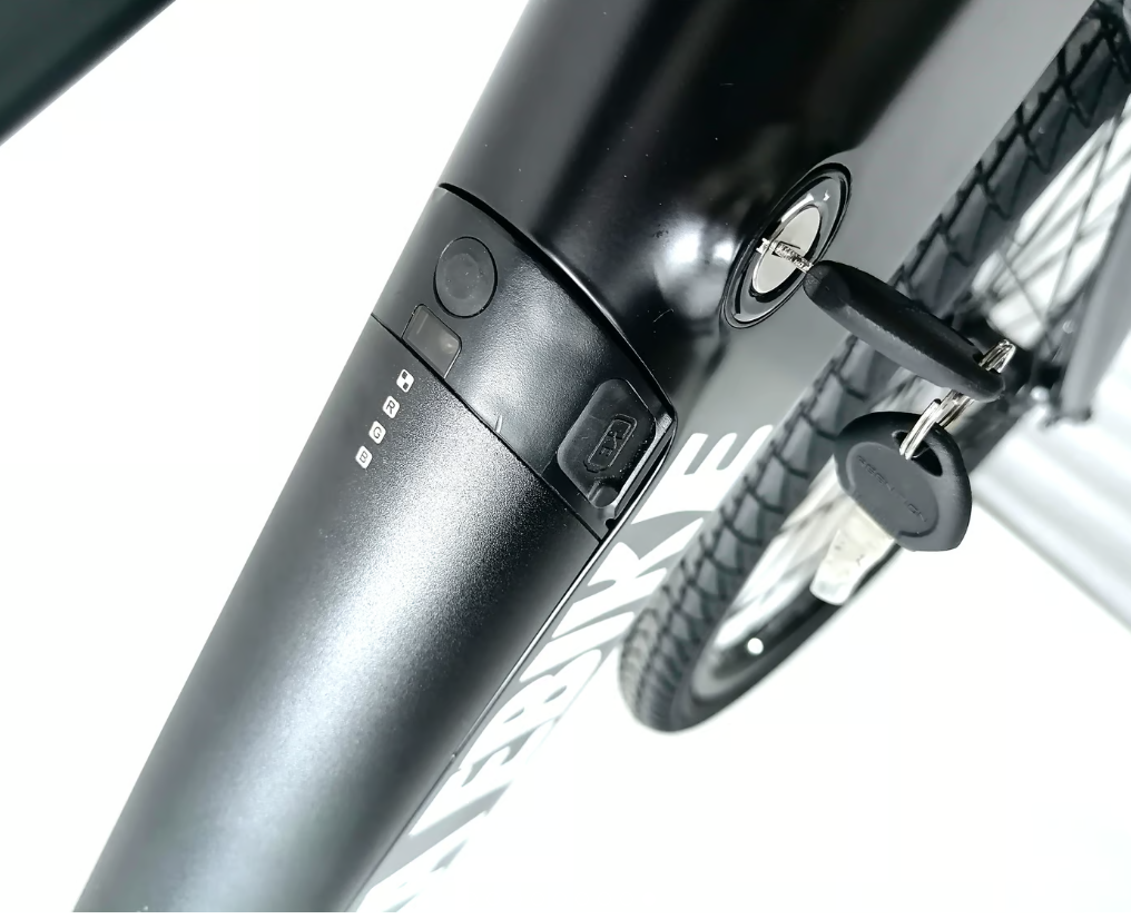 Zebra Ebike Model M