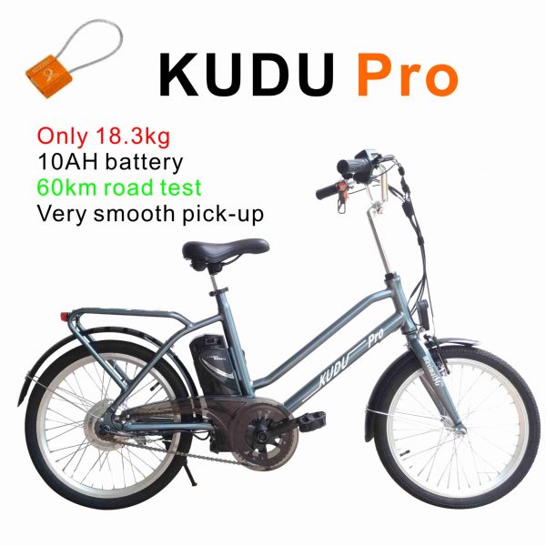 MaximalSG PAB-20-02 Ebike Electric bike bicycle PAB 20″ KUDU Pro