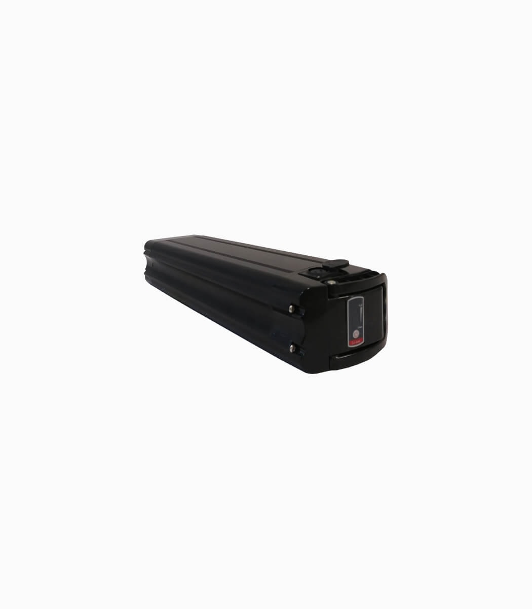 MOBOT original battery 48v 15ah for Leader