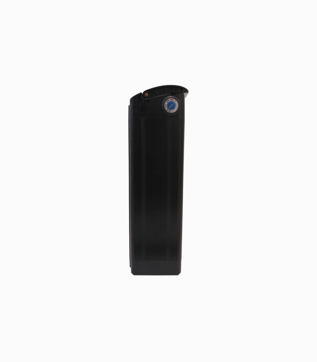 MOBOT original battery 48v 15ah for Leader