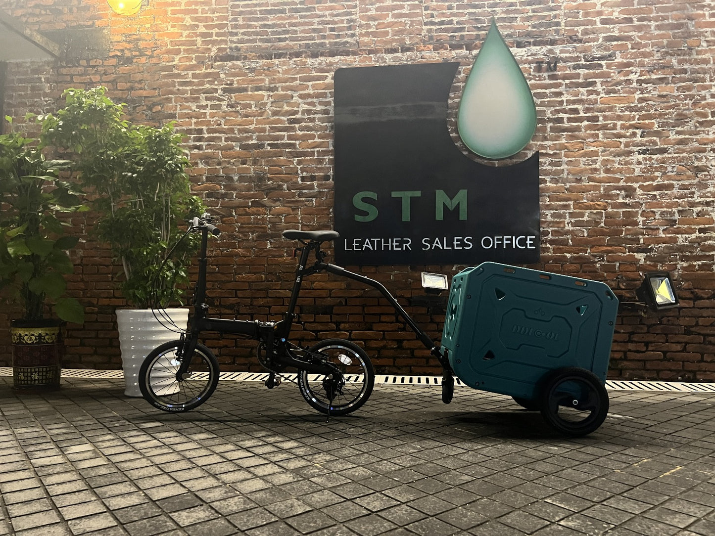 DL Mini Cargo Bike, Multifunction Out Door Sports for Camping, Biking and Pet Transport