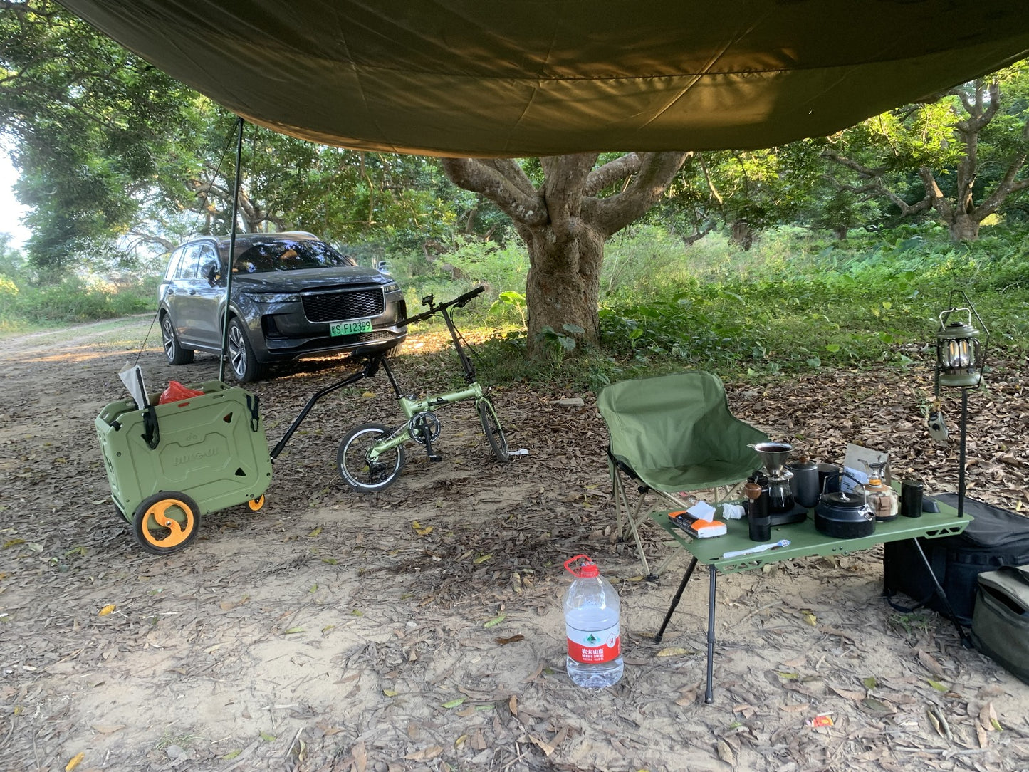 DL Mini Cargo Bike, Multifunction Out Door Sports for Camping, Biking and Pet Transport