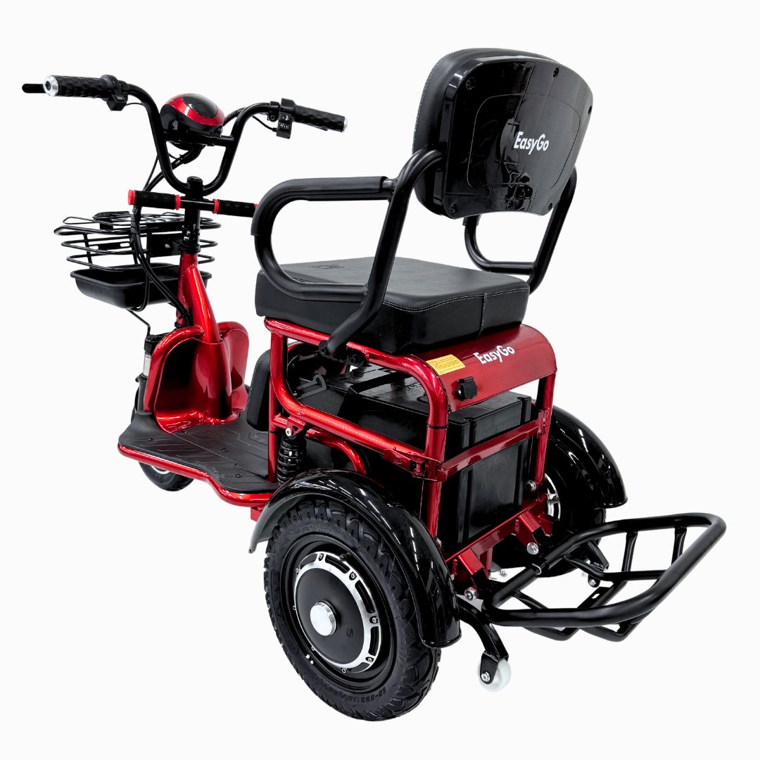 LTA Compliant PMA EZYGO Compact 48V/12ah