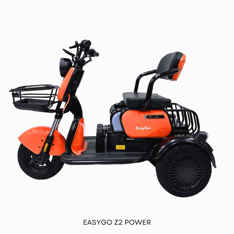 EasyGo PMA Z2 Power (Export Set)