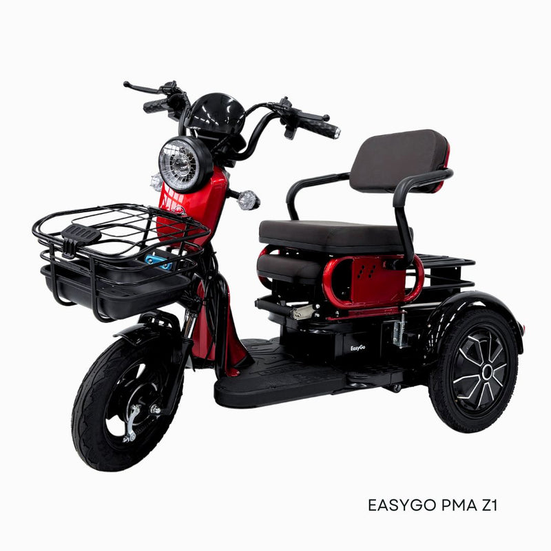 EasyGo PMA Z1 (Export Set)