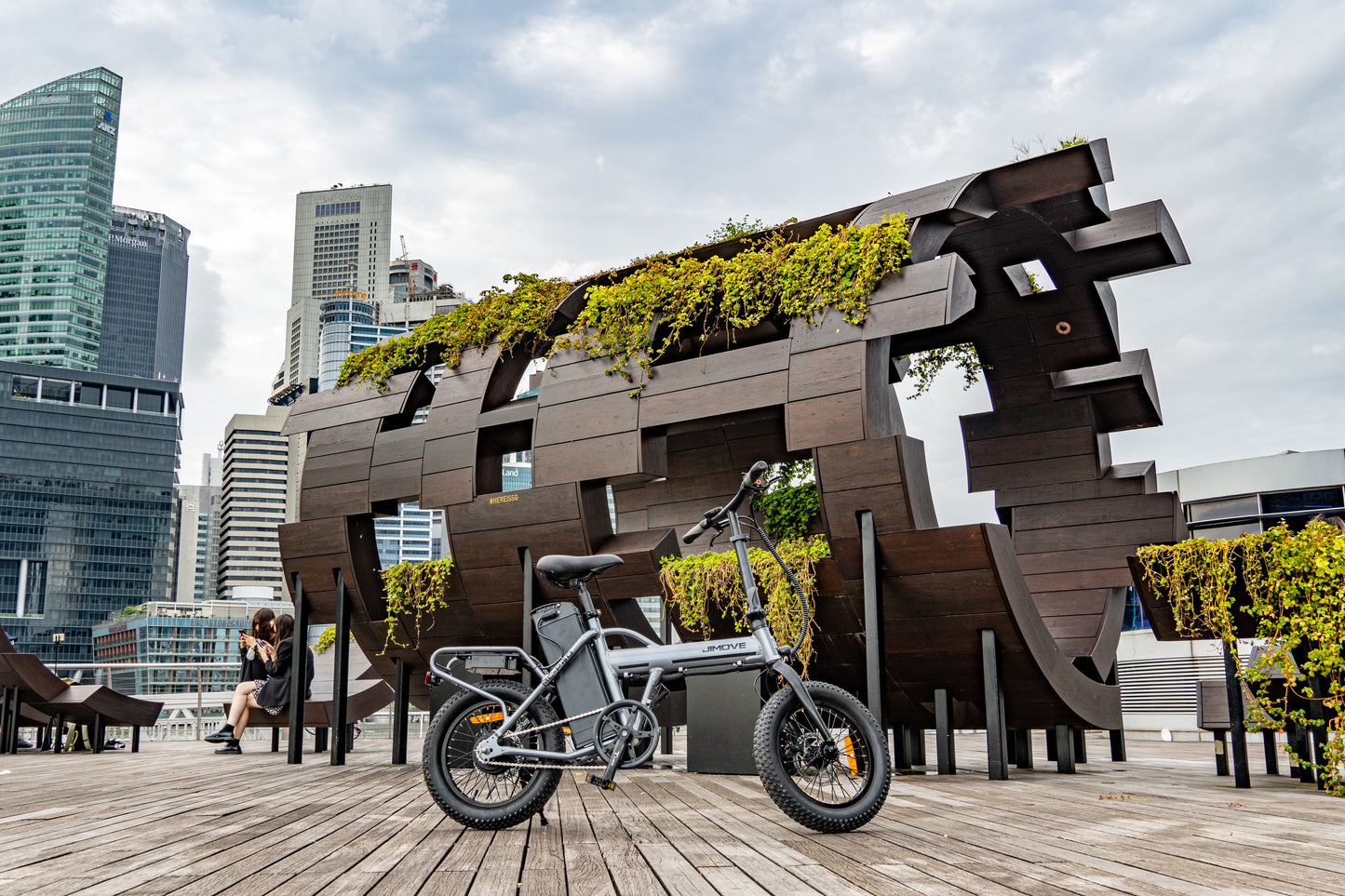 NEW RELEASE JIMOVE MC-Pro Ebike | 48V19.2AH |