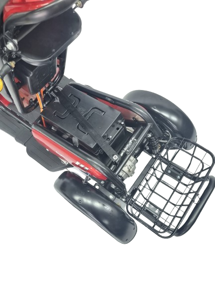 EZYGO PMA Lion 2 Seaters 48v 600W / 1000W  (Export Set)