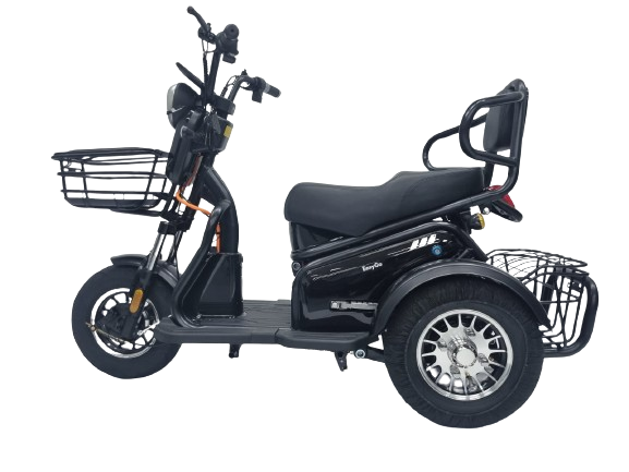 EZYGO PMA Lion 2 Seaters 48v 600W / 1000W  (Export Set)