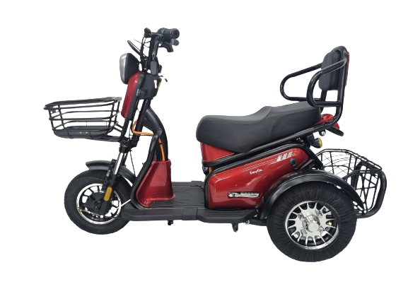 EZYGO PMA Lion 2 Seaters 48v 600W / 1000W  (Export Set)