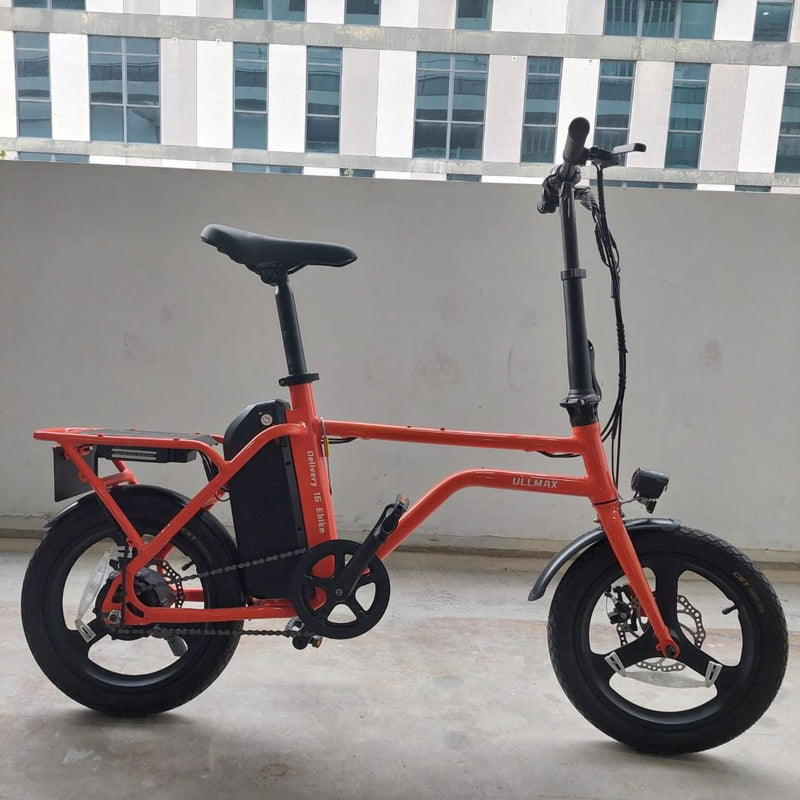 Ullmax Delivery 16 Electric Bicycle | 48V19.2Ah