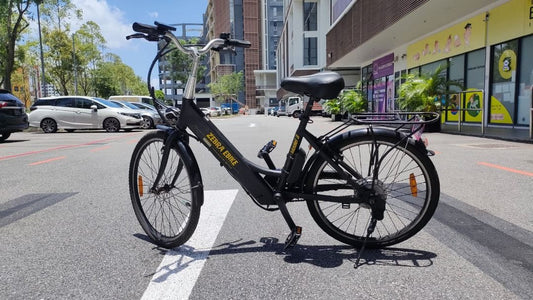 Zebra Model 3 Used Ebike | 36V 10AH | Refurbished