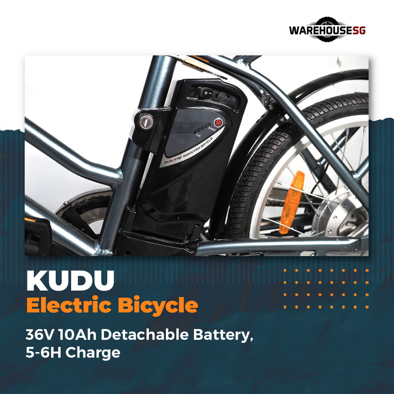 MAXIMALSG KUDU EBIKE/ELECTRIC BICYCLE 36V 10AH EN15194