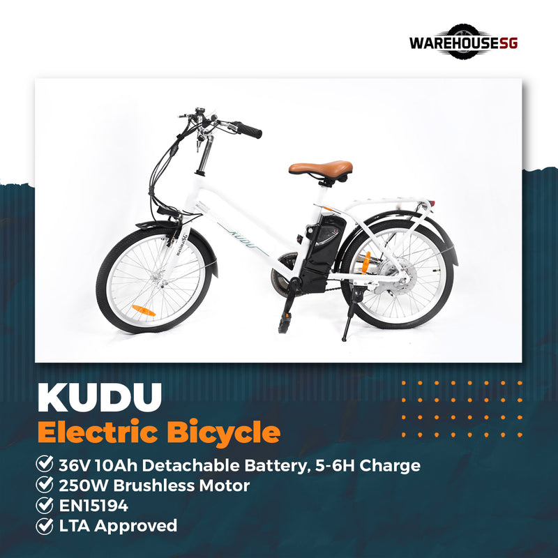 MAXIMALSG KUDU EBIKE ELECTRIC BICYCLE 36V 10AH EN15194