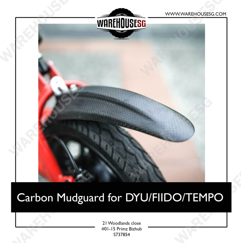 Carbon Mudguard for DYU/FIIDO/TEMPO