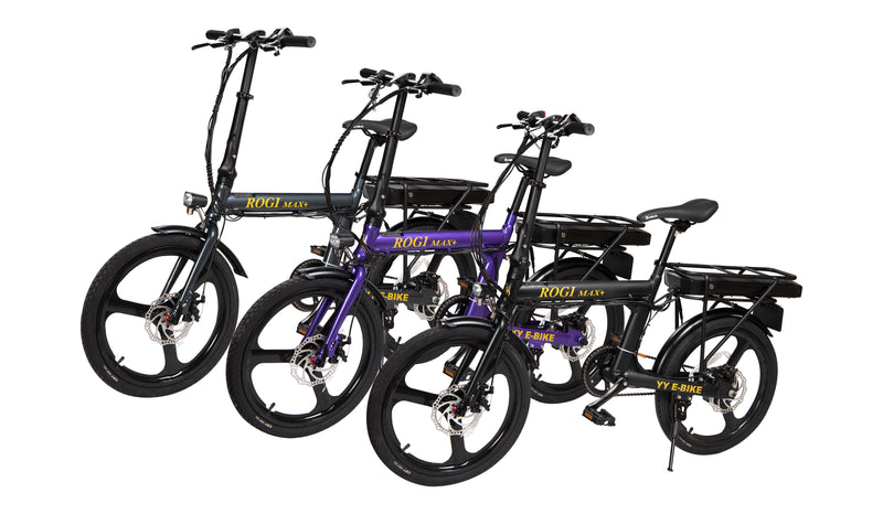 Rogi Max Plus 36V 21AH Electric Bike / PAB