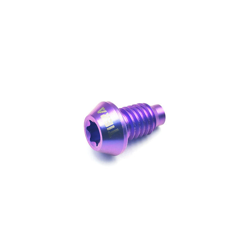 TIERA Magura Caliper Bleeding Titanium Screw