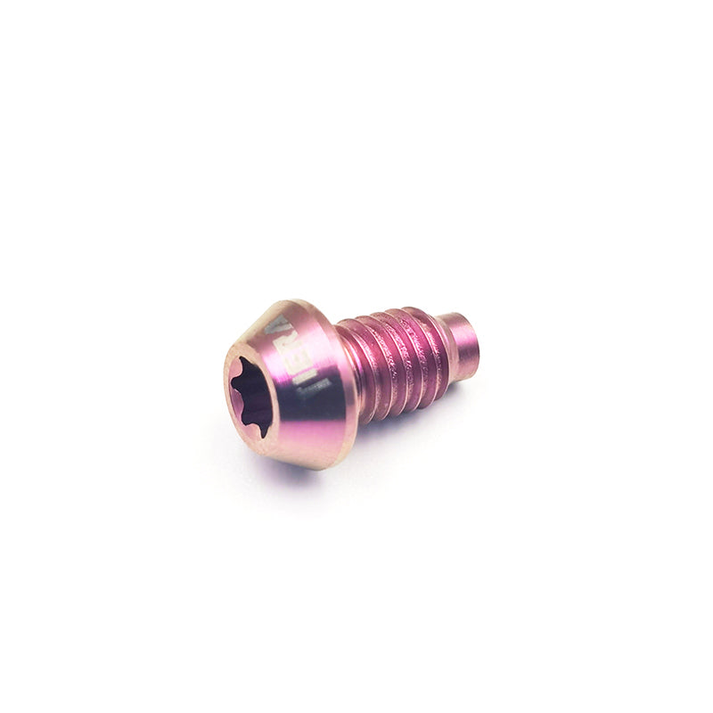 TIERA Magura Caliper Bleeding Titanium Screw