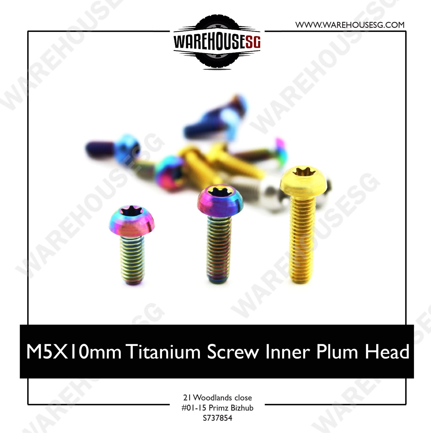 M5X10mm Titanium Screw Inner Plum Head