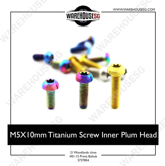 M5X10mm Titanium Screw Inner Plum Head