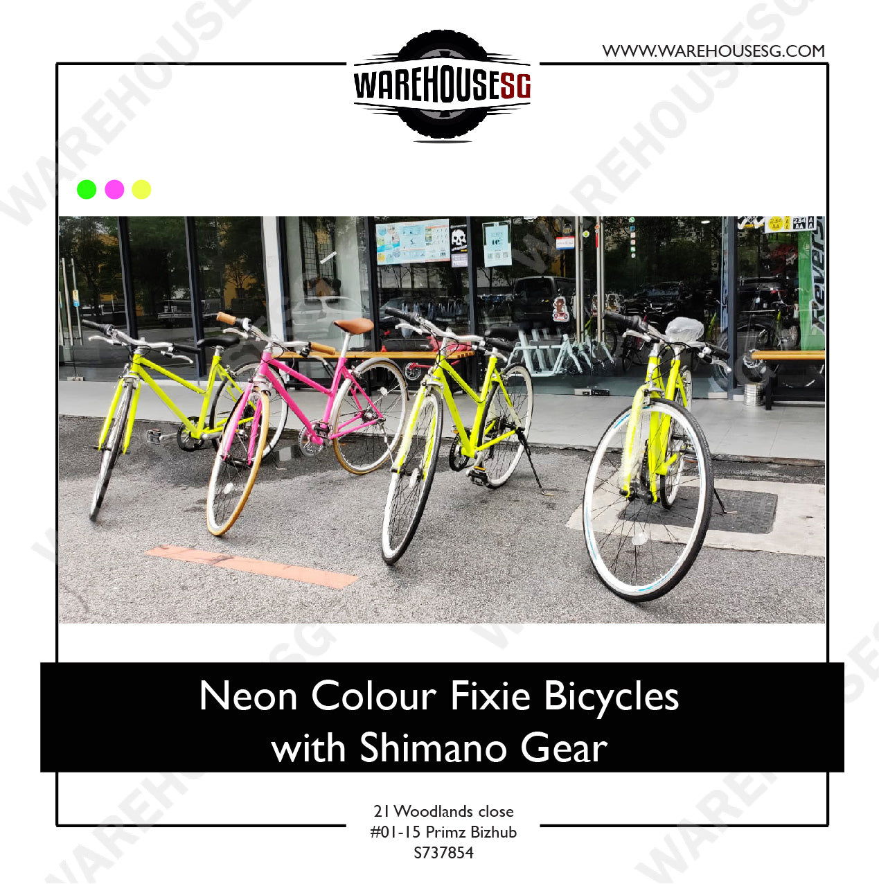 Neon Colour Fixie Bicycles with Shimano Gear