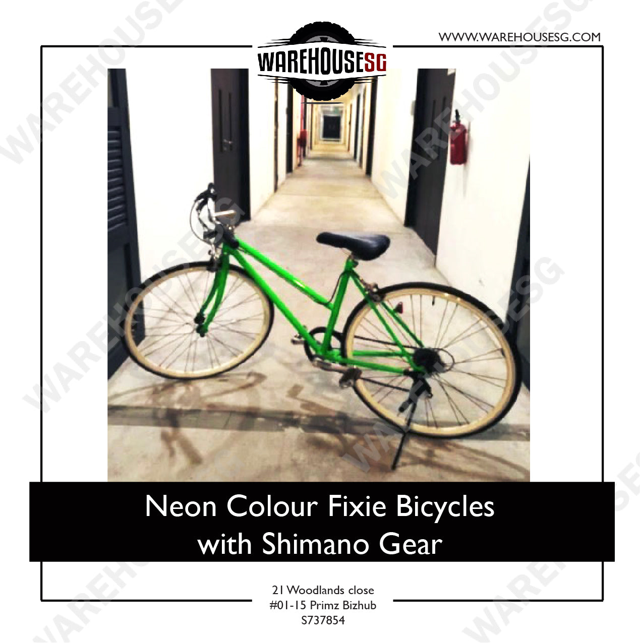 Neon Colour Fixie Bicycles with Shimano Gear