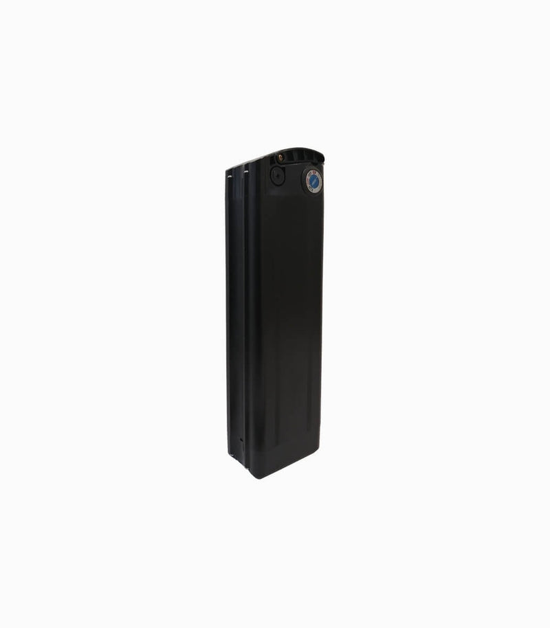 MOBOT original battery 48v 15ah for Leader
