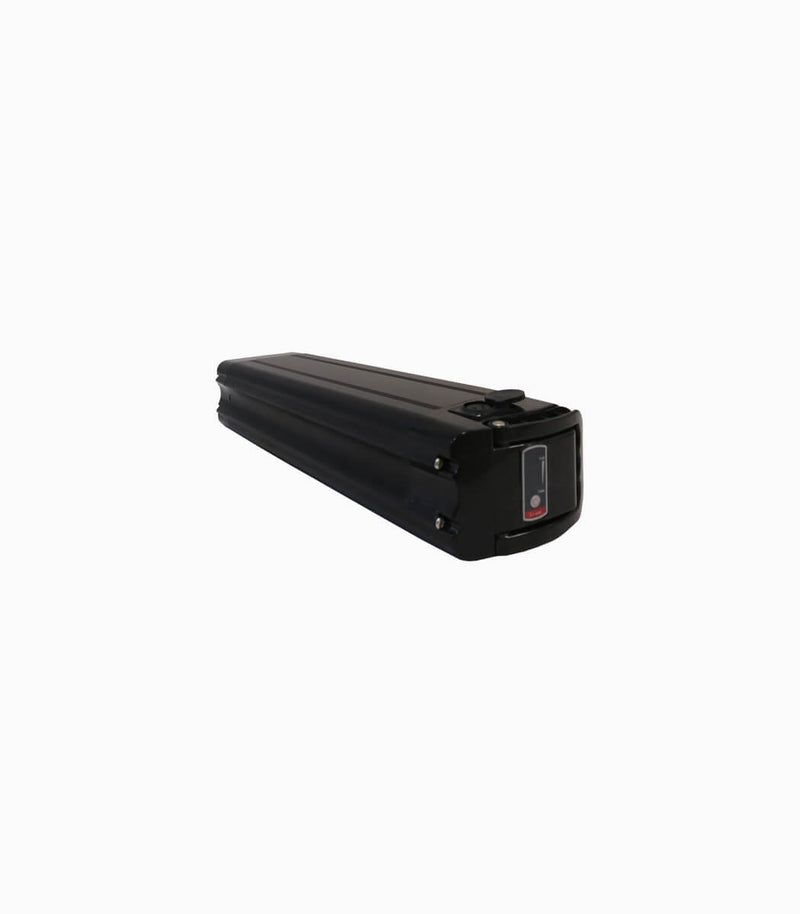 MOBOT original battery 48v 15ah for Leader