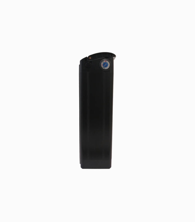 MOBOT original battery 48v 15ah for Leader