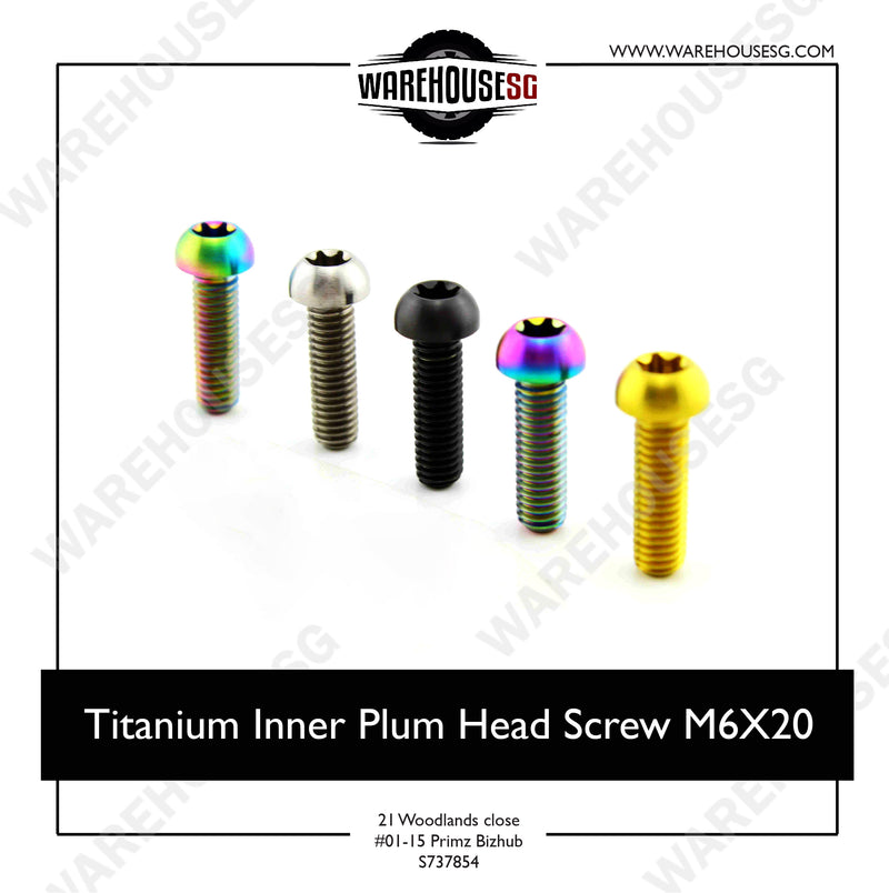 Titanium Inner Plum Head Screw M6X20