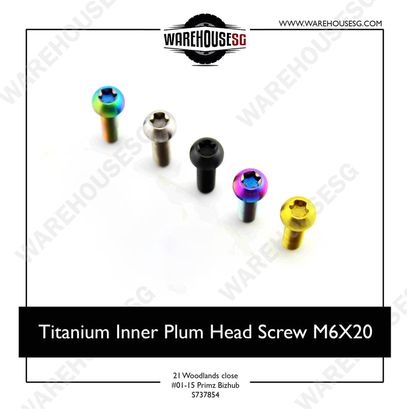 Titanium Inner Plum Head Screw M6X20