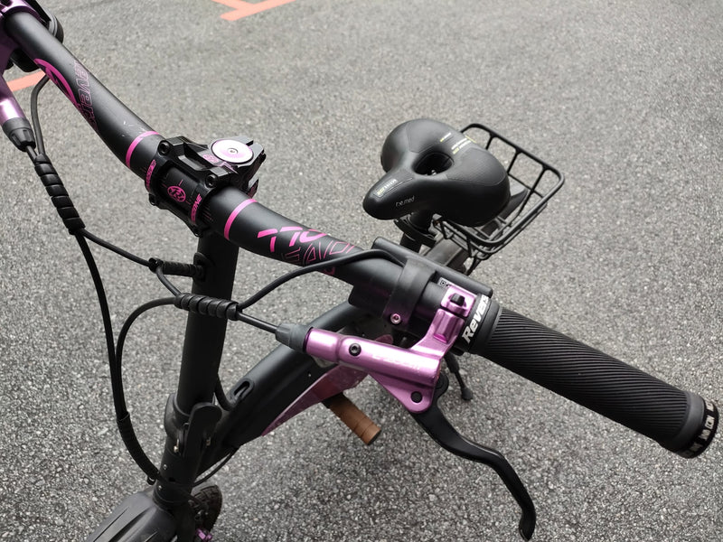 UPGRADED DYU (Reverse Handlebar, Zoom Hydraulic) NOT FOR USED IN SINGAPORE