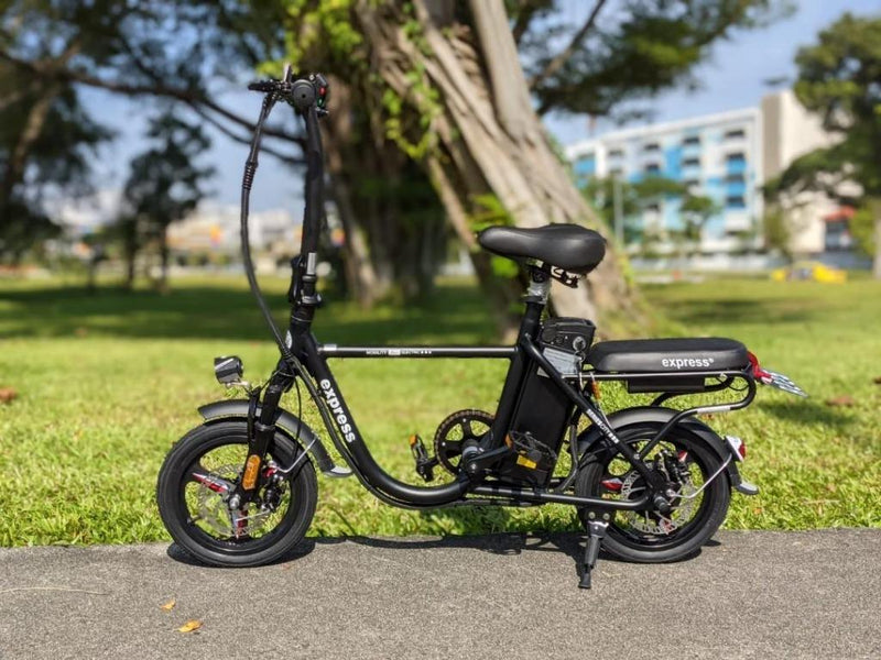 Eco Drive Junior 48V 11.5Ah Ebike Electric Bicycle E-Bike LTA Approved