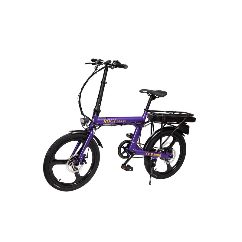 Rogi Max Plus 36V 21AH Electric Bike / PAB